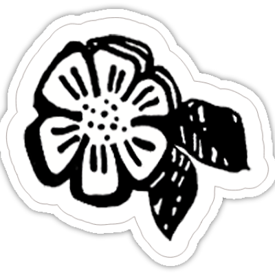 Joe Eddie Starter Pack Bundle - Image 6